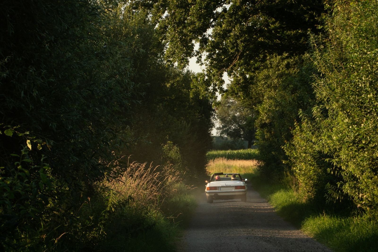 Taking a car off SORN: a classic car back on a country lane